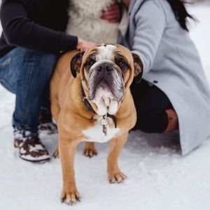 Meet your Posher, Sam